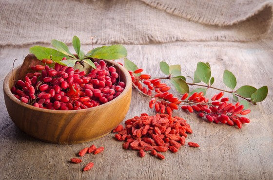 Las Bayas de Goji: El Secreto Oriental Cultivado por 3,000 Días