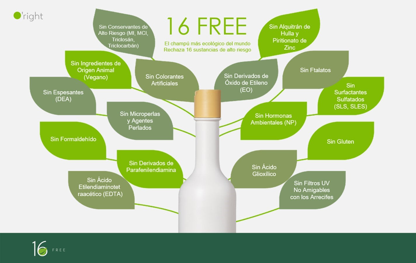 Shampoo libre de ingredientes dañinos. Cuidamos tu salud con resultados excepcionales en el cabello